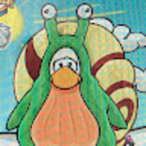 Meet your Posher, Anna